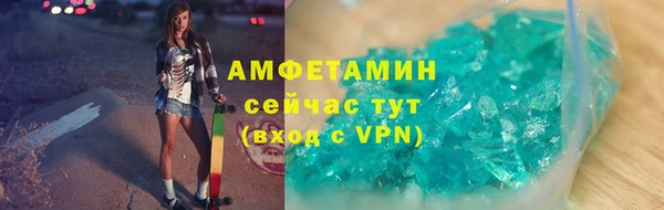 гидра Липки