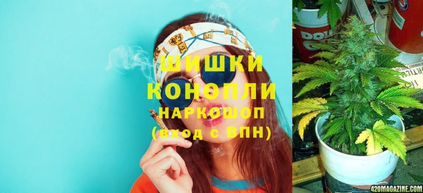 гидра Липки