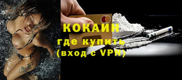гидра Липки
