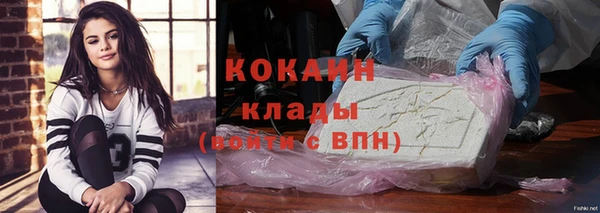 гидра Липки